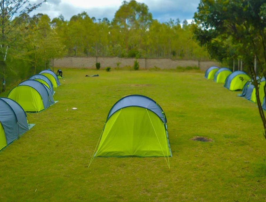 Camping & Bush Excursions